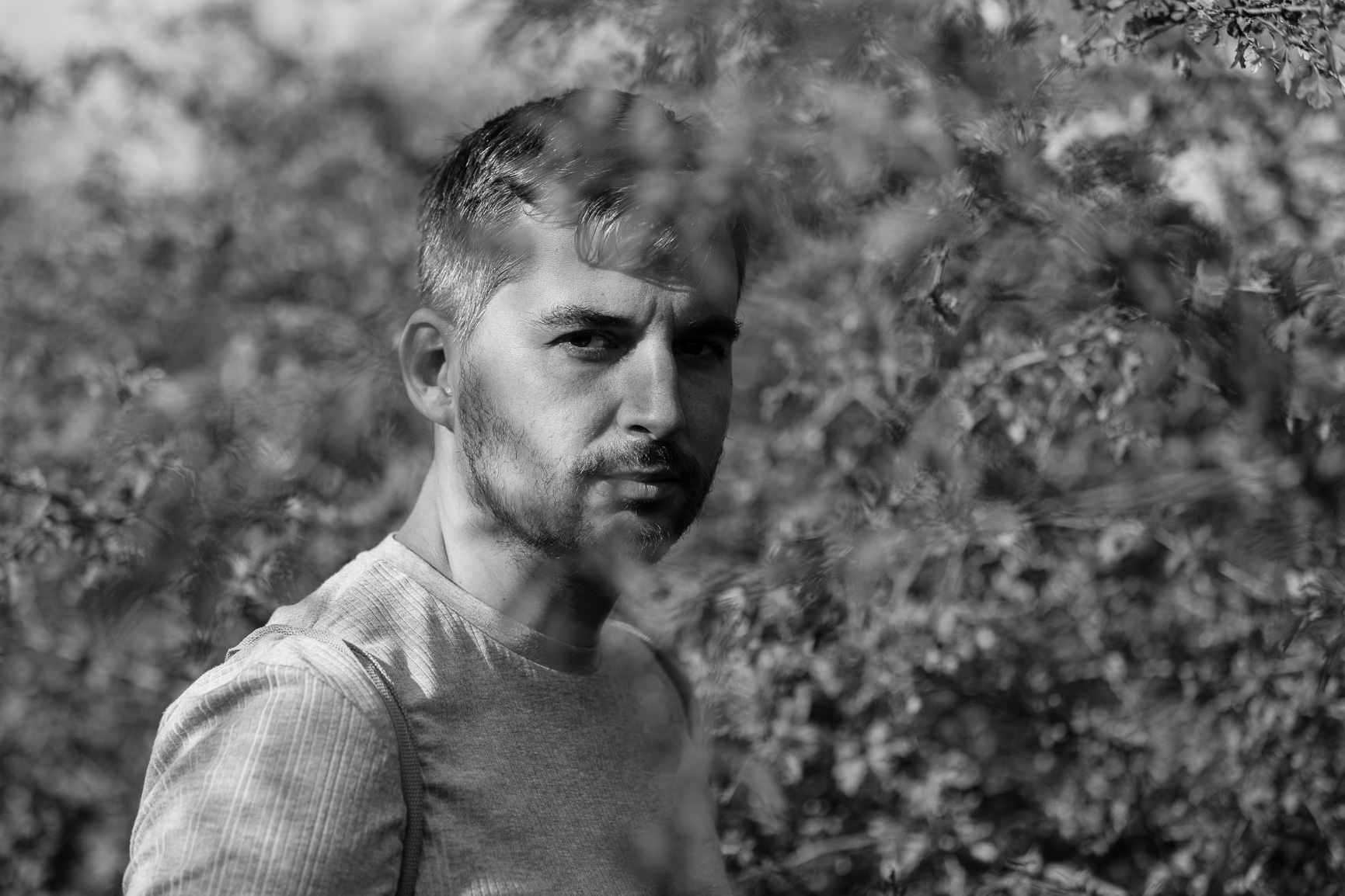 profilkép és portré készítése pest megyei erdős, fás
környezetben