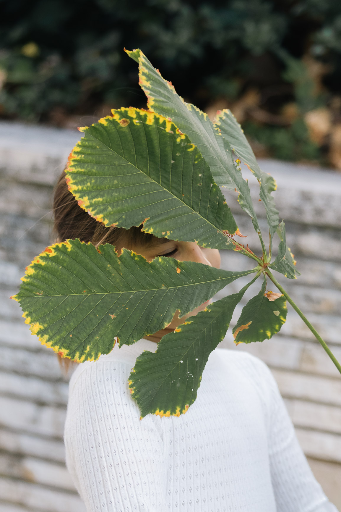 családi profi öröm fotózás zöld parkban
